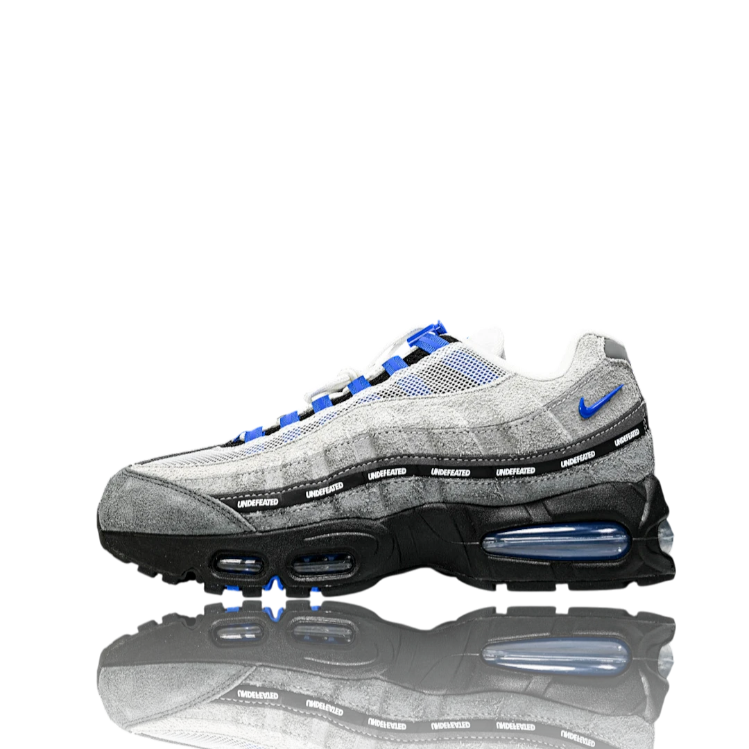 AM95 SP x Undefeated Geo 'Birmingham Concord'