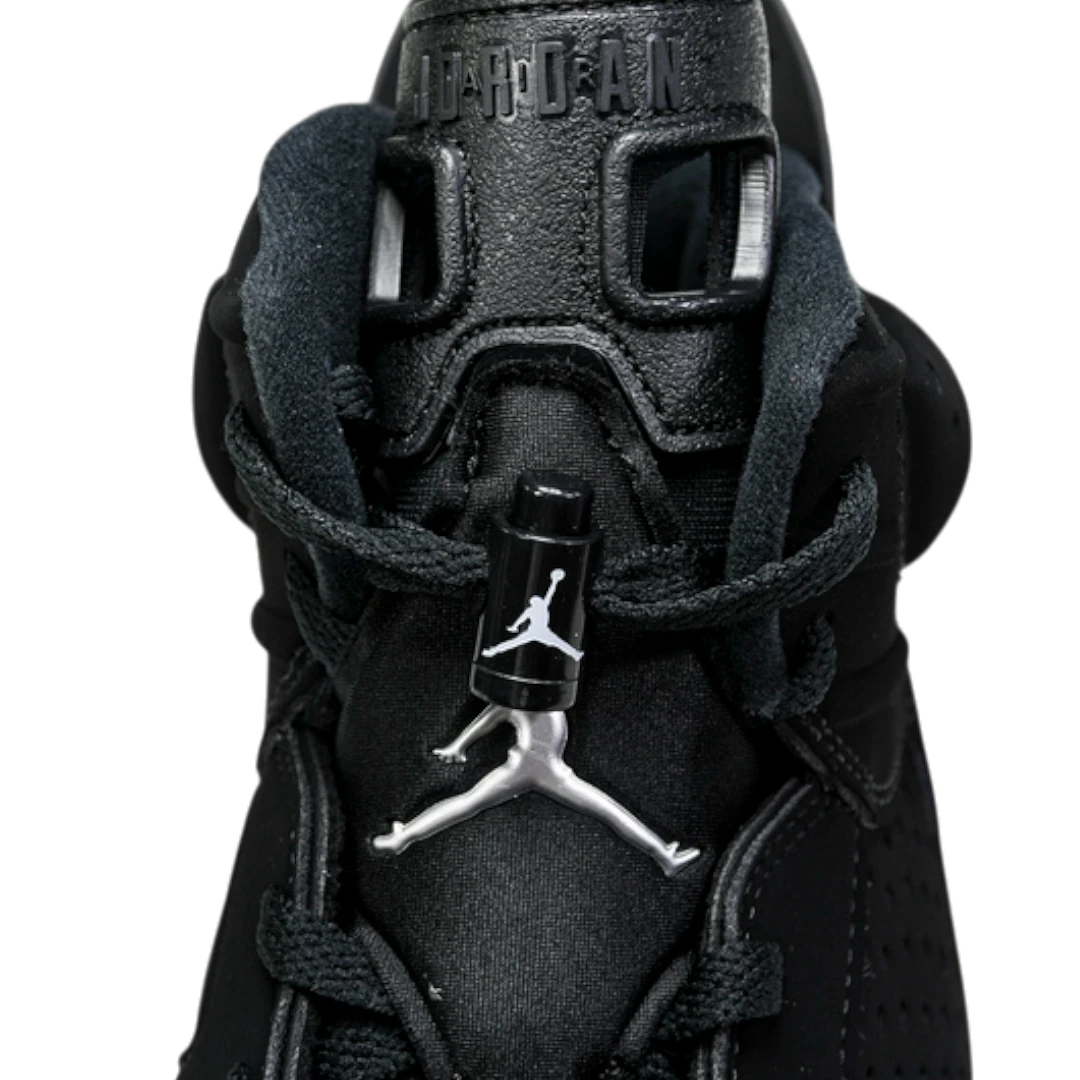 AJ6 Retro 'Chrome'