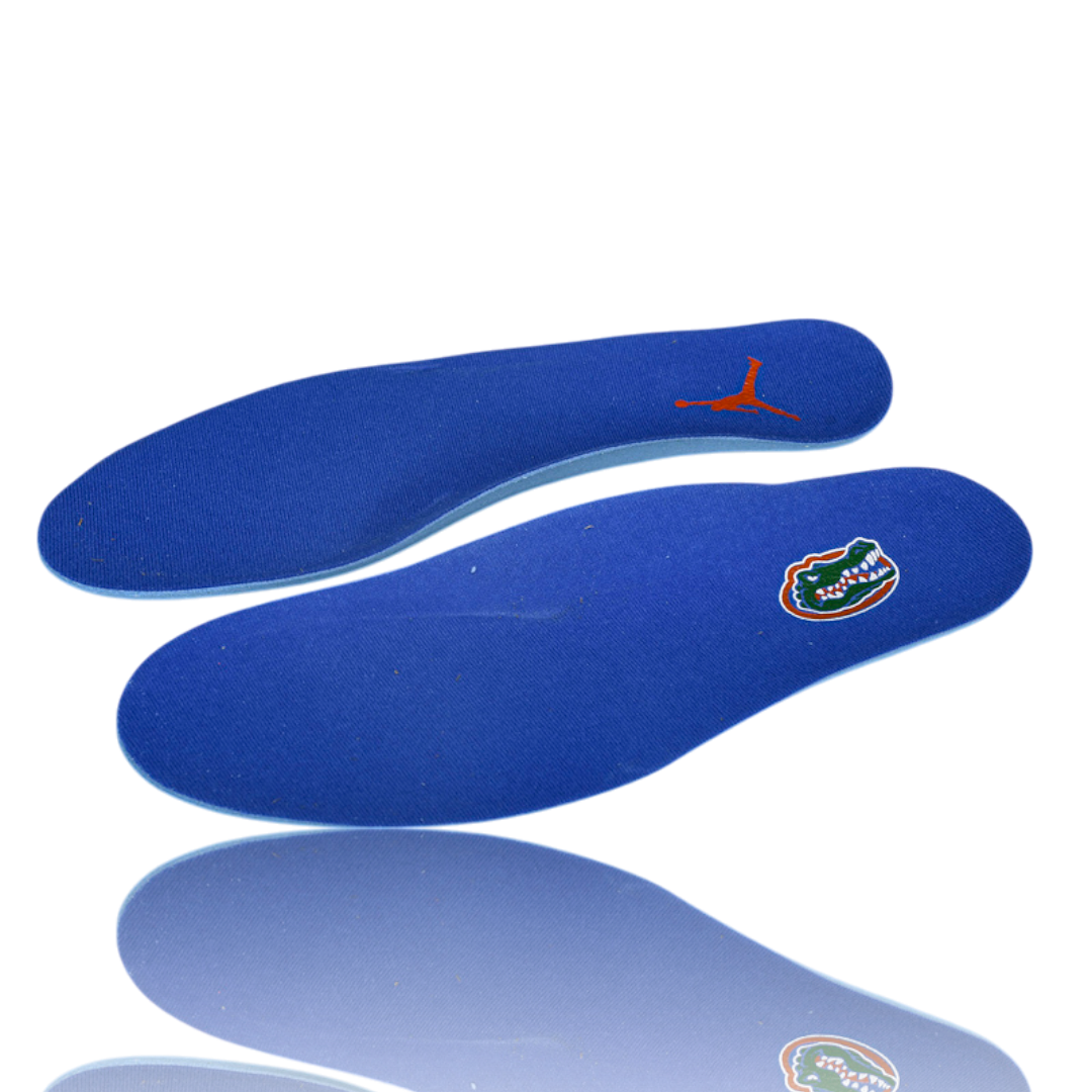 (CLEARANCE) AJ4 Retro 'Florida Gators PE'