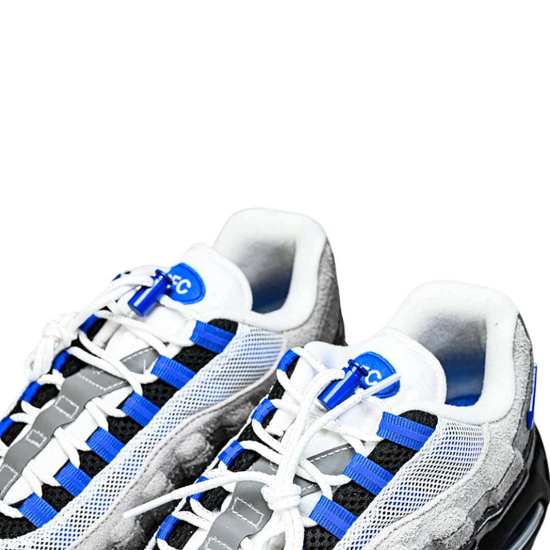 AM95 SP x Undefeated Geo 'Birmingham Concord'