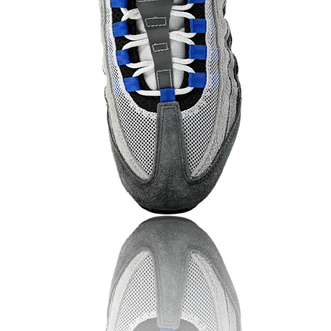 AM95 SP x Undefeated Geo 'Birmingham Concord'