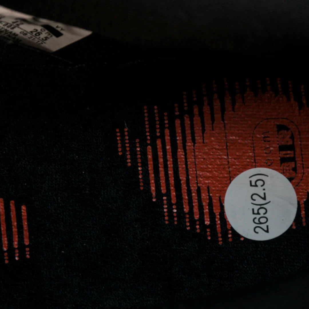 (CLEARANCE) Jeff Staple x SB Dnk Low 'Black Pigeon'