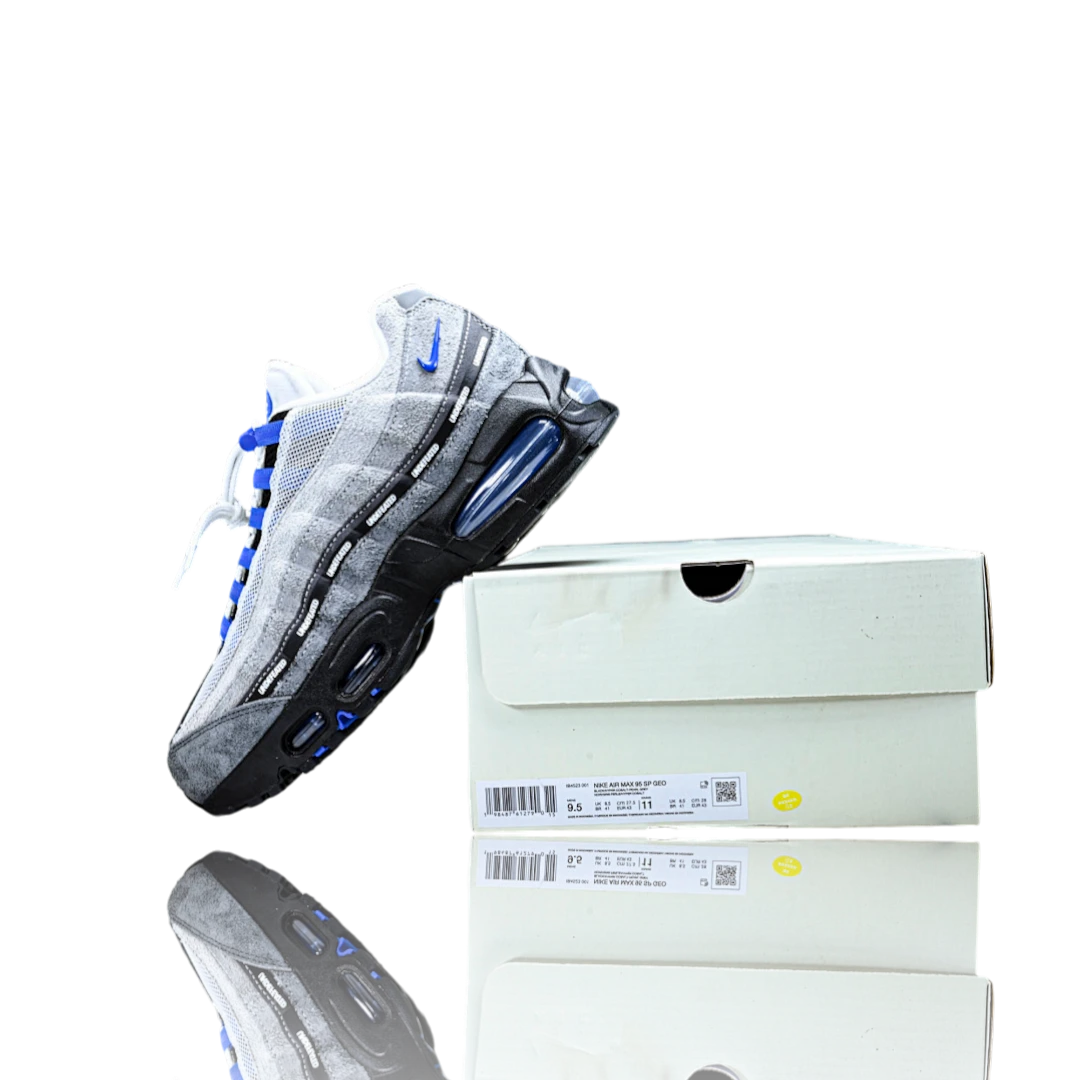 AM95 SP x Undefeated Geo 'Birmingham Concord'
