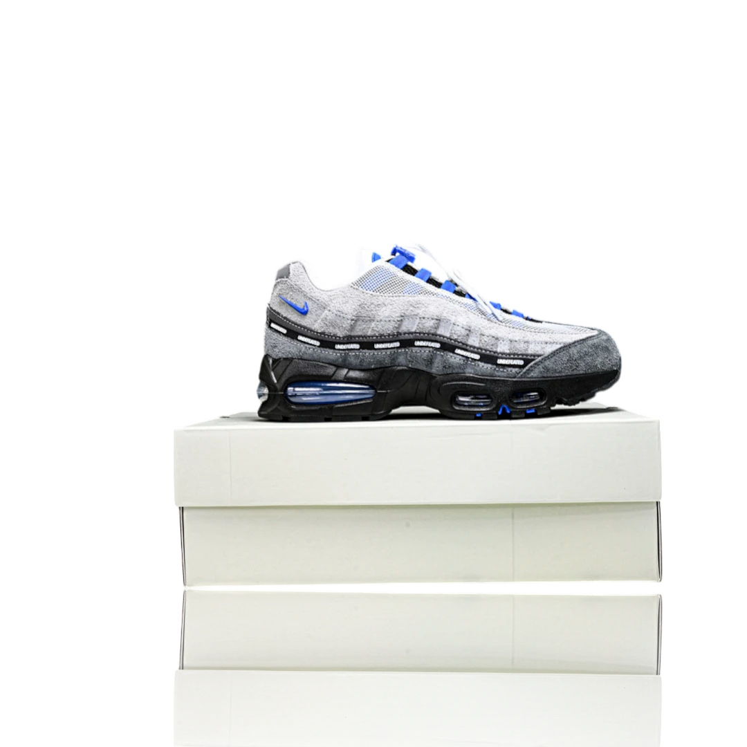 AM95 SP x Undefeated Geo 'Birmingham Concord'