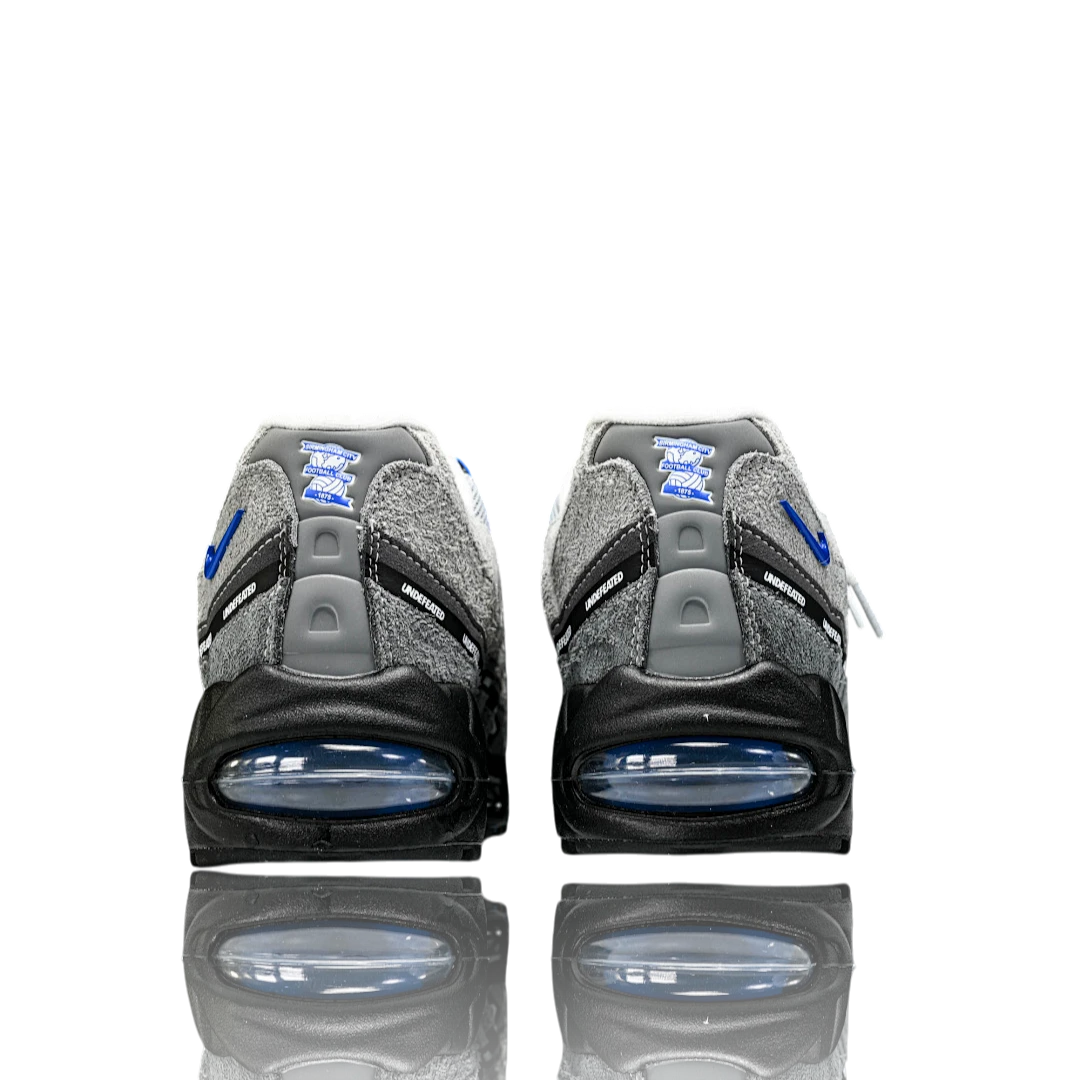 AM95 SP x Undefeated Geo 'Birmingham Concord'