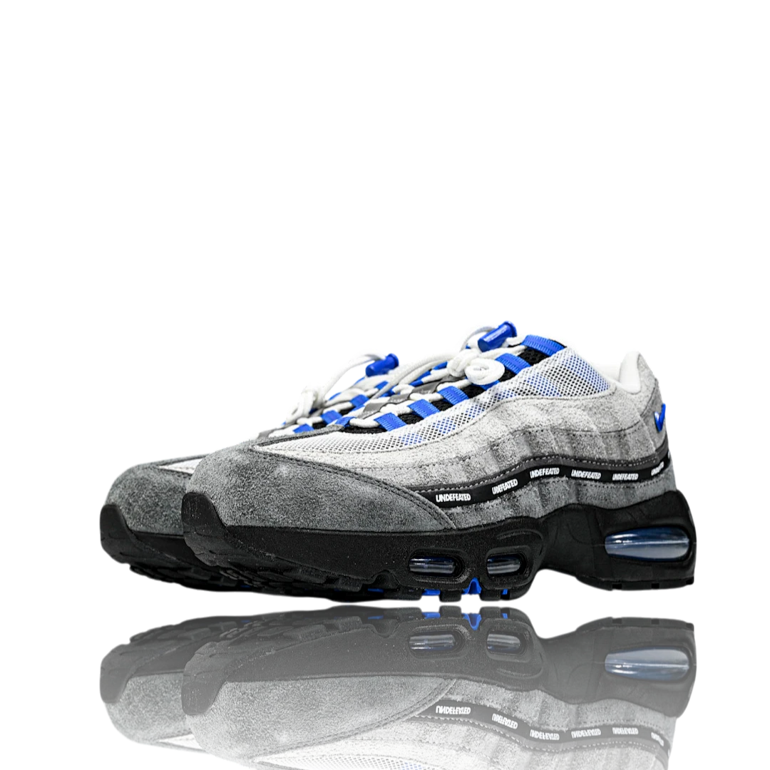 AM95 SP x Undefeated Geo 'Birmingham Concord'