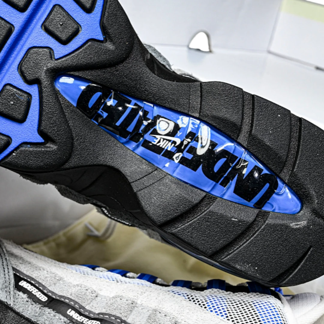AM95 SP x Undefeated Geo 'Birmingham Concord'