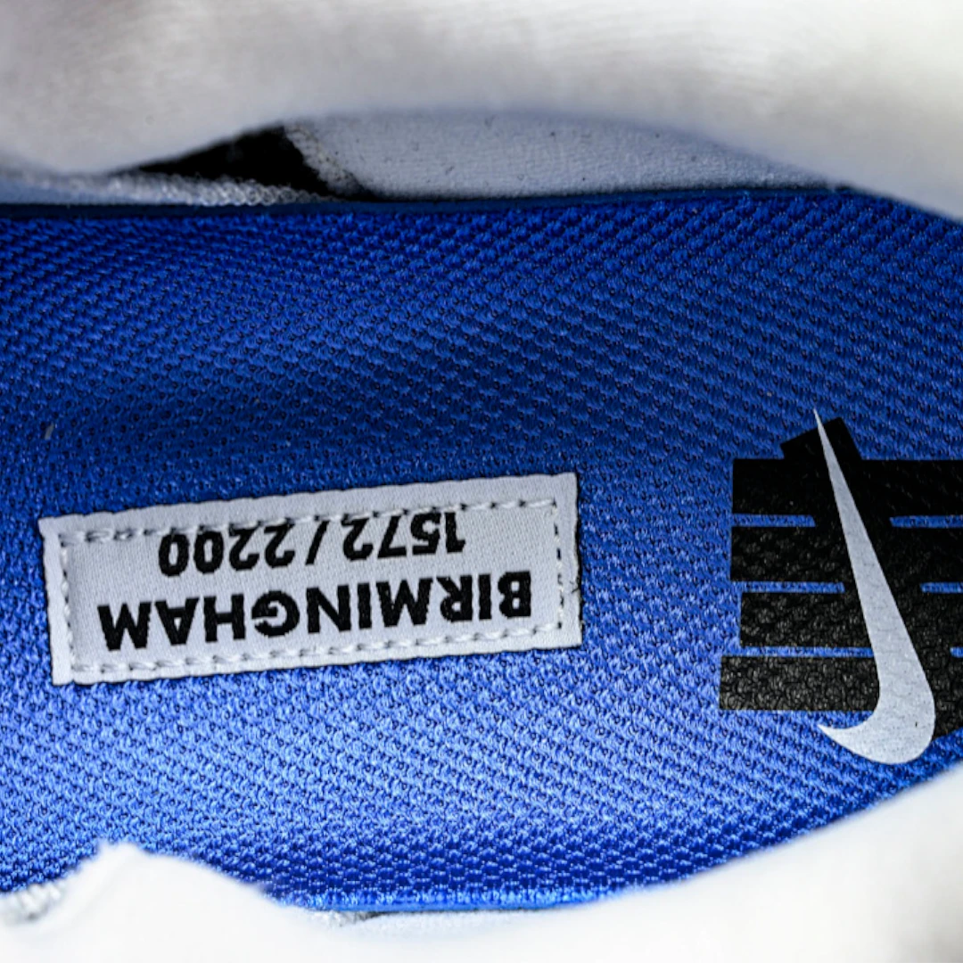 AM95 SP x Undefeated Geo 'Birmingham Concord'