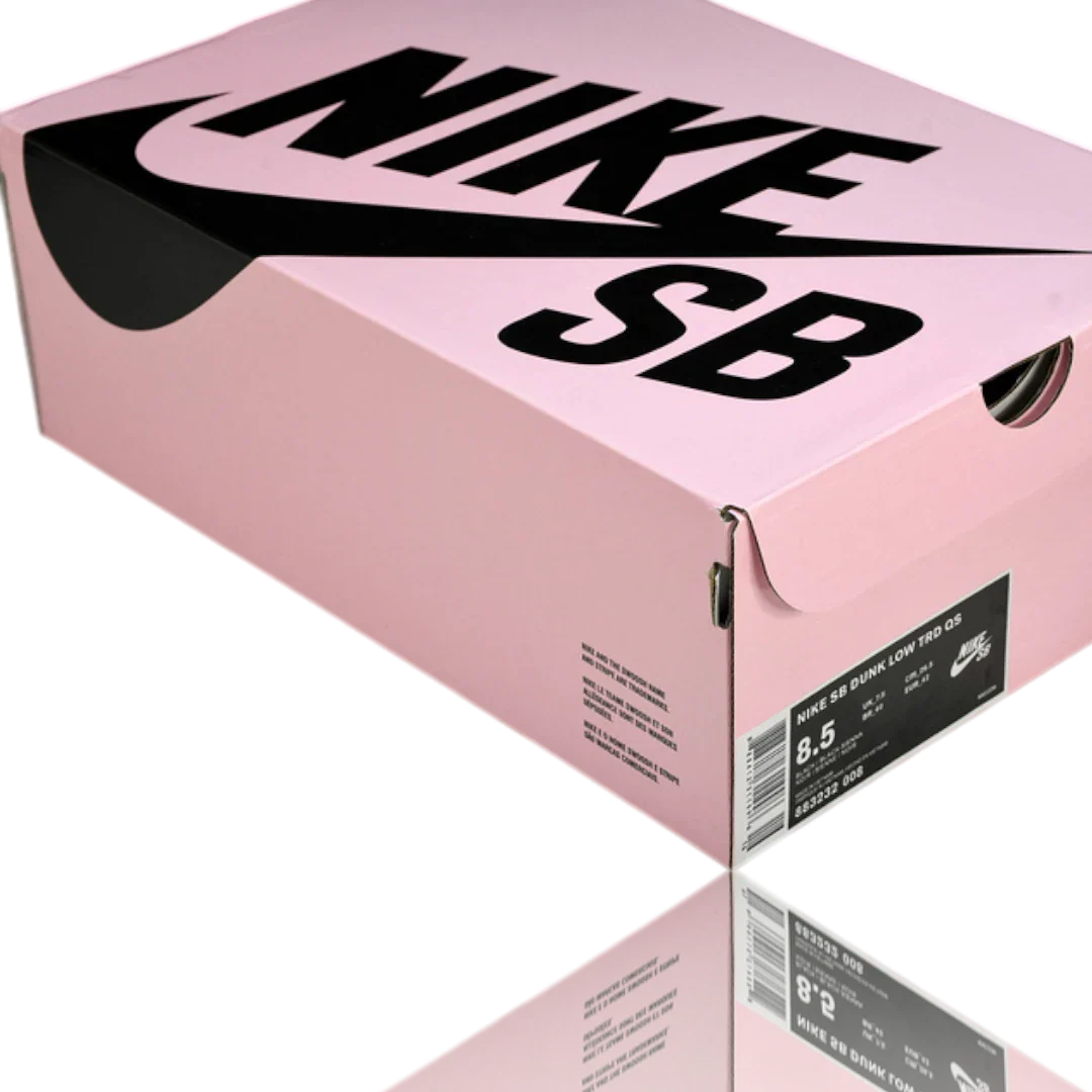 (CLEARANCE) Jeff Staple x SB Dnk Low 'Black Pigeon'