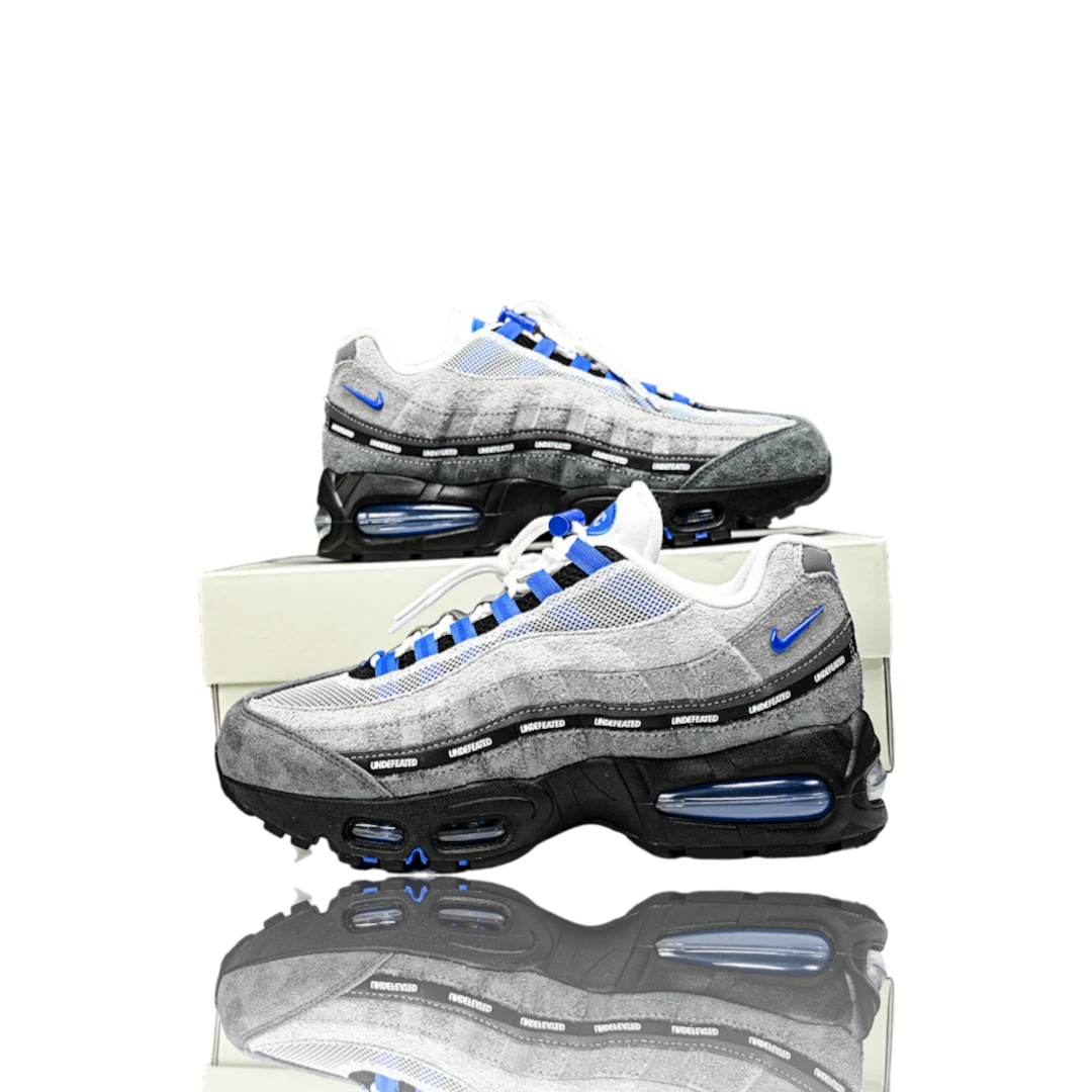 AM95 SP x Undefeated Geo 'Birmingham Concord'
