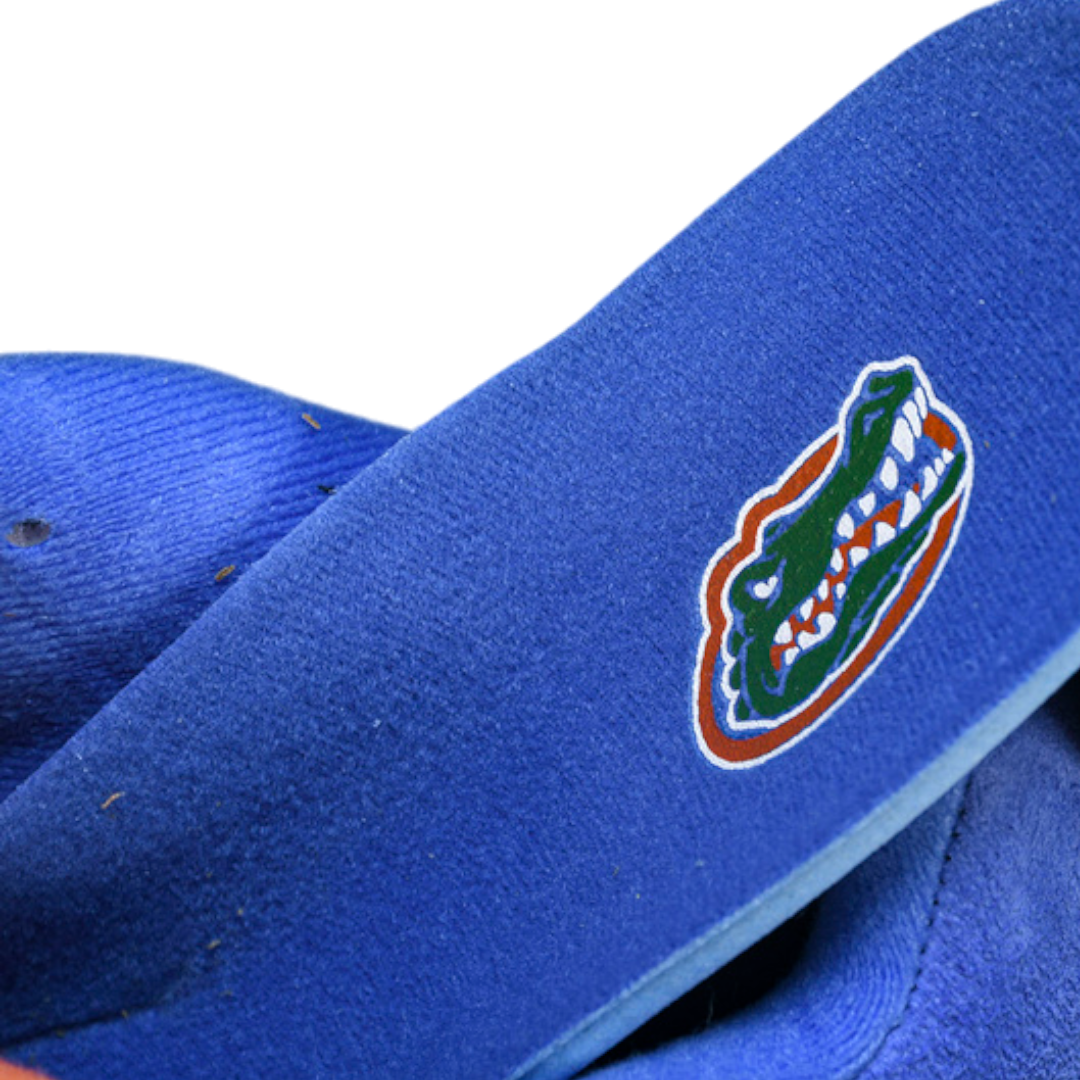 (CLEARANCE) AJ4 Retro 'Florida Gators PE'