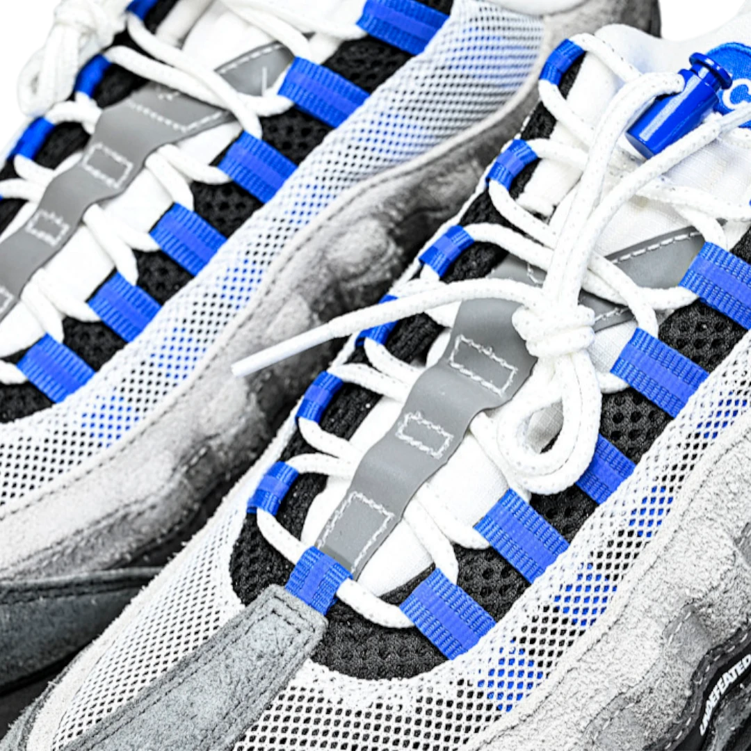 AM95 SP x Undefeated Geo 'Birmingham Concord'