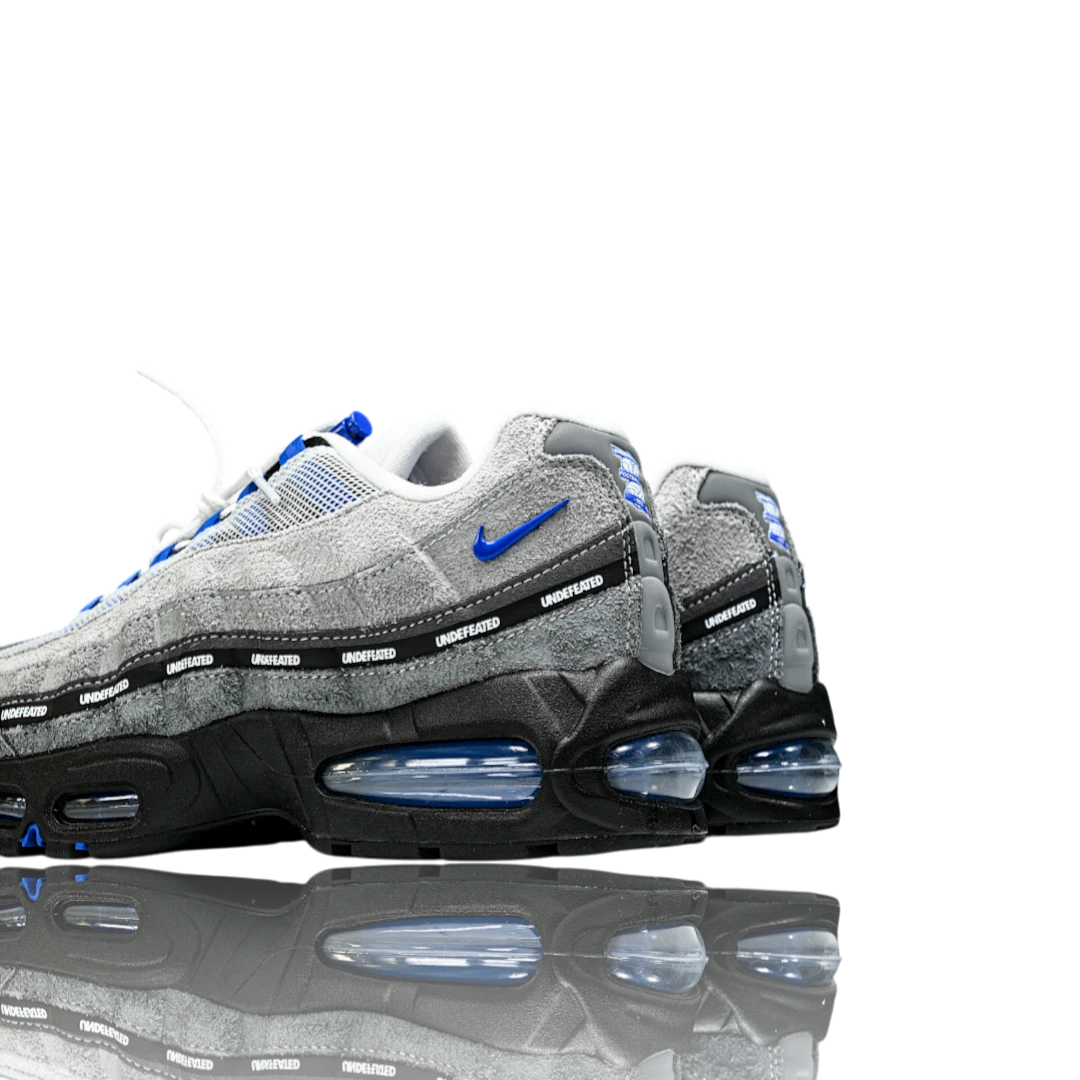 AM95 SP x Undefeated Geo 'Birmingham Concord'