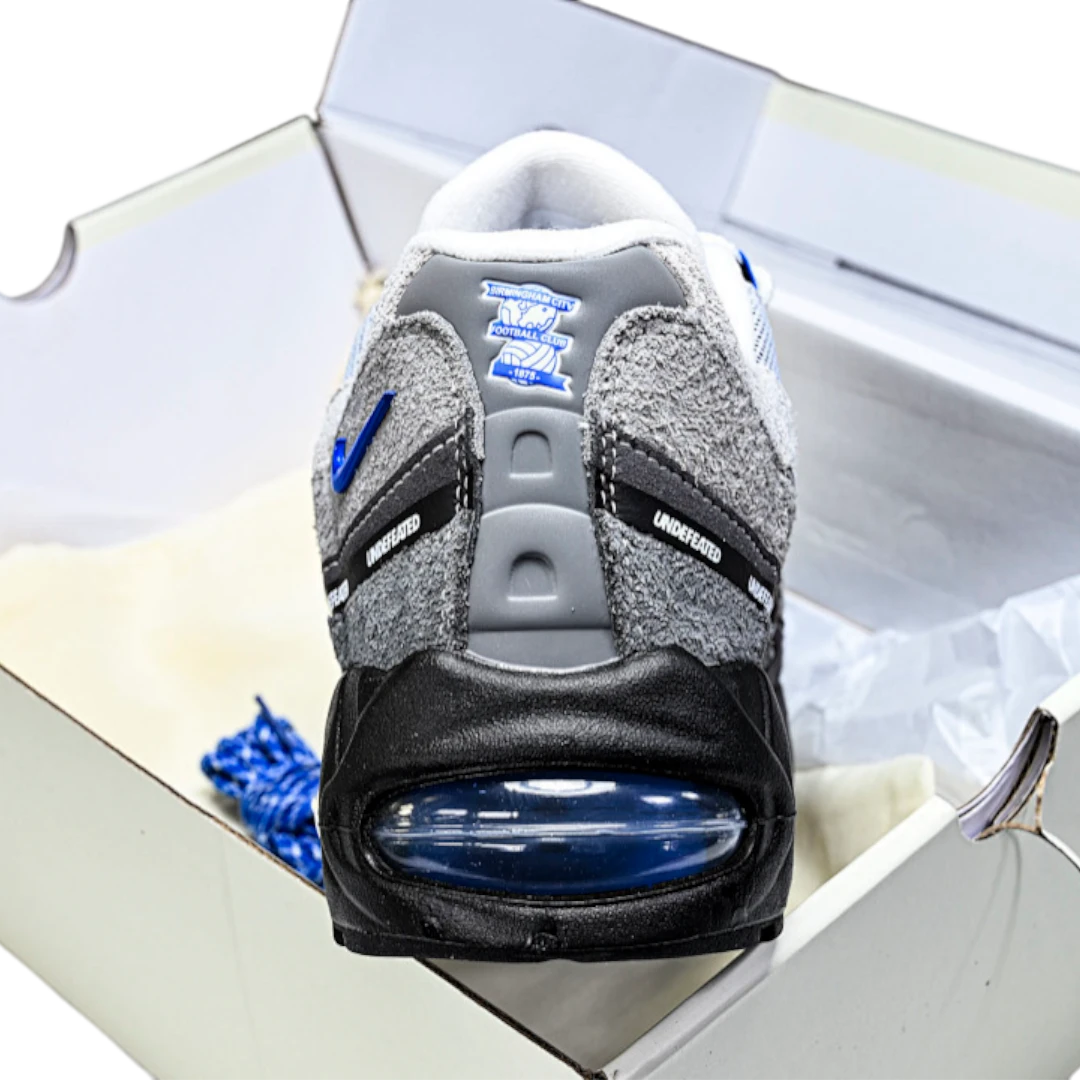 AM95 SP x Undefeated Geo 'Birmingham Concord'