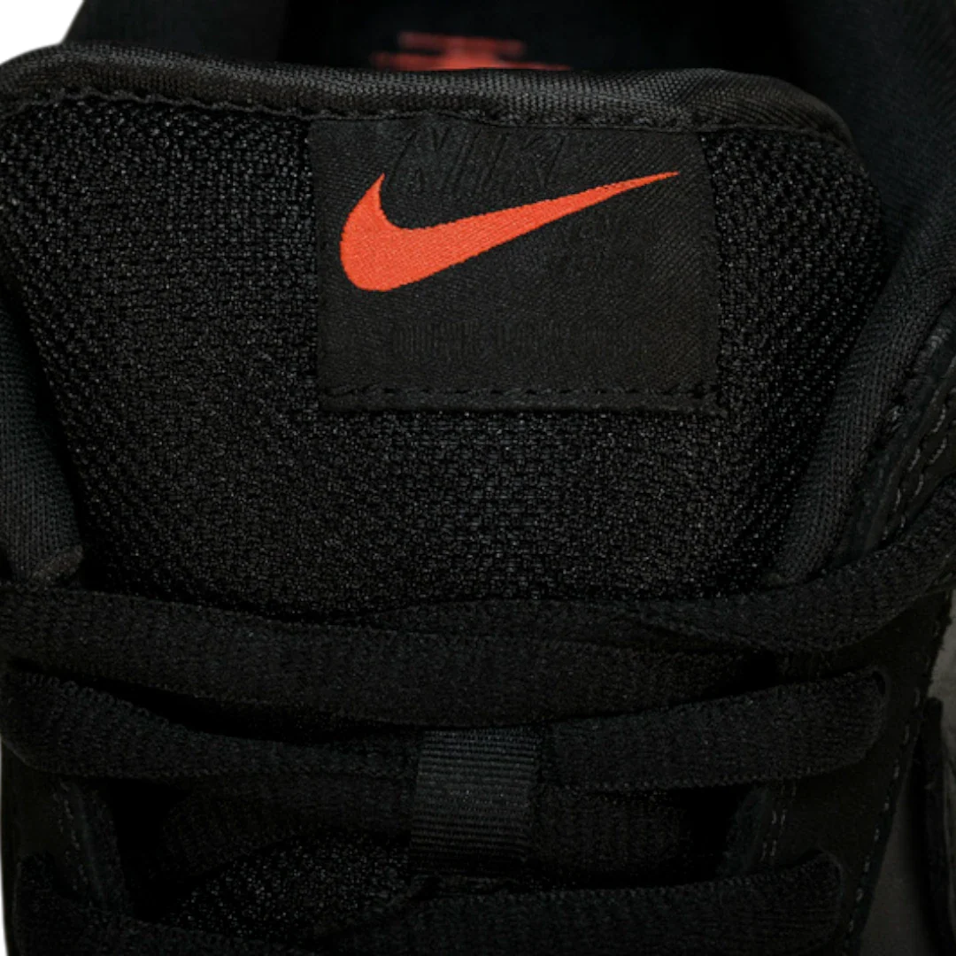 (CLEARANCE) Jeff Staple x SB Dnk Low 'Black Pigeon'