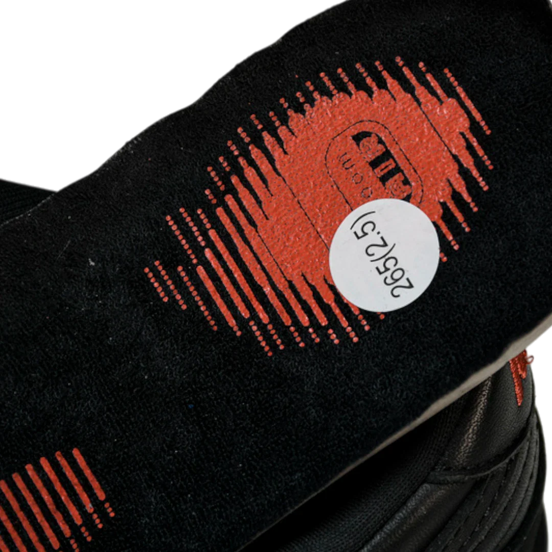 (CLEARANCE) Jeff Staple x SB Dnk Low 'Black Pigeon'