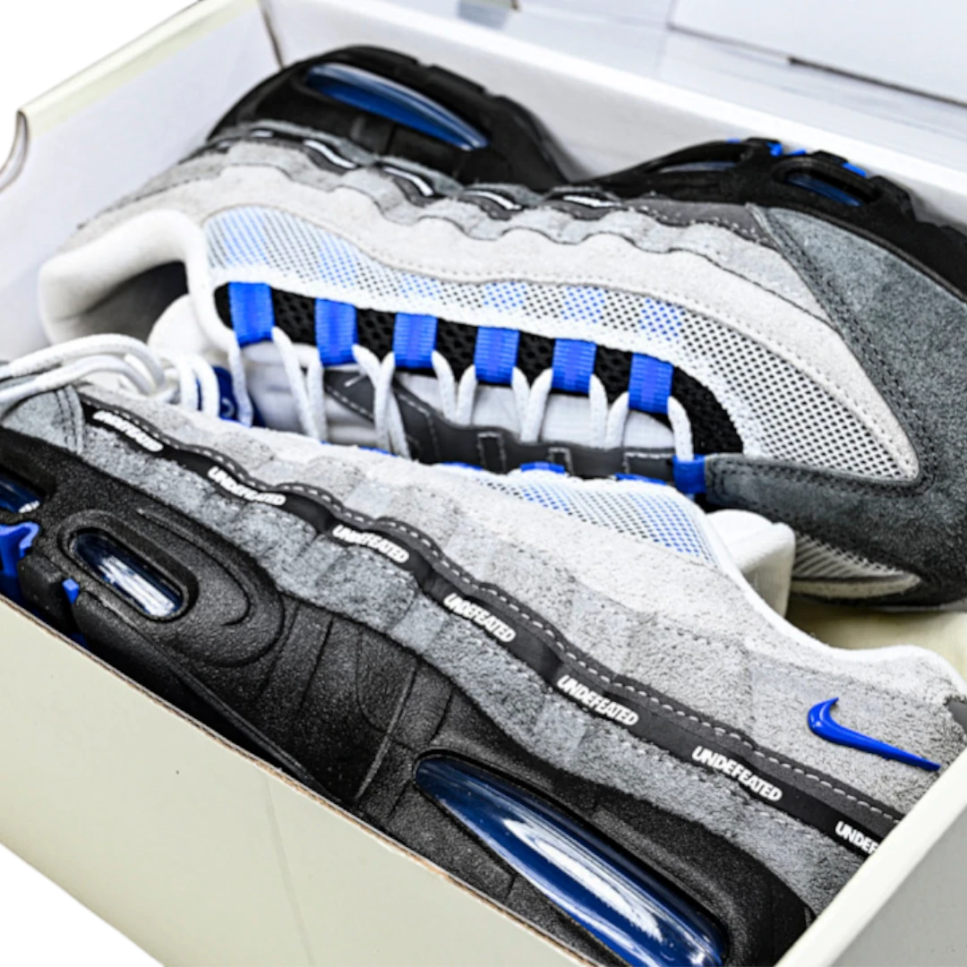 AM95 SP x Undefeated Geo 'Birmingham Concord'