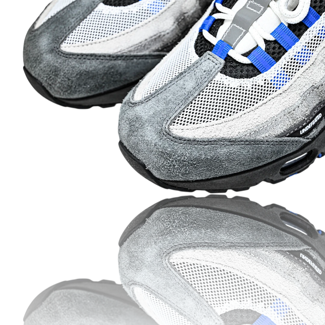 AM95 SP x Undefeated Geo 'Birmingham Concord'