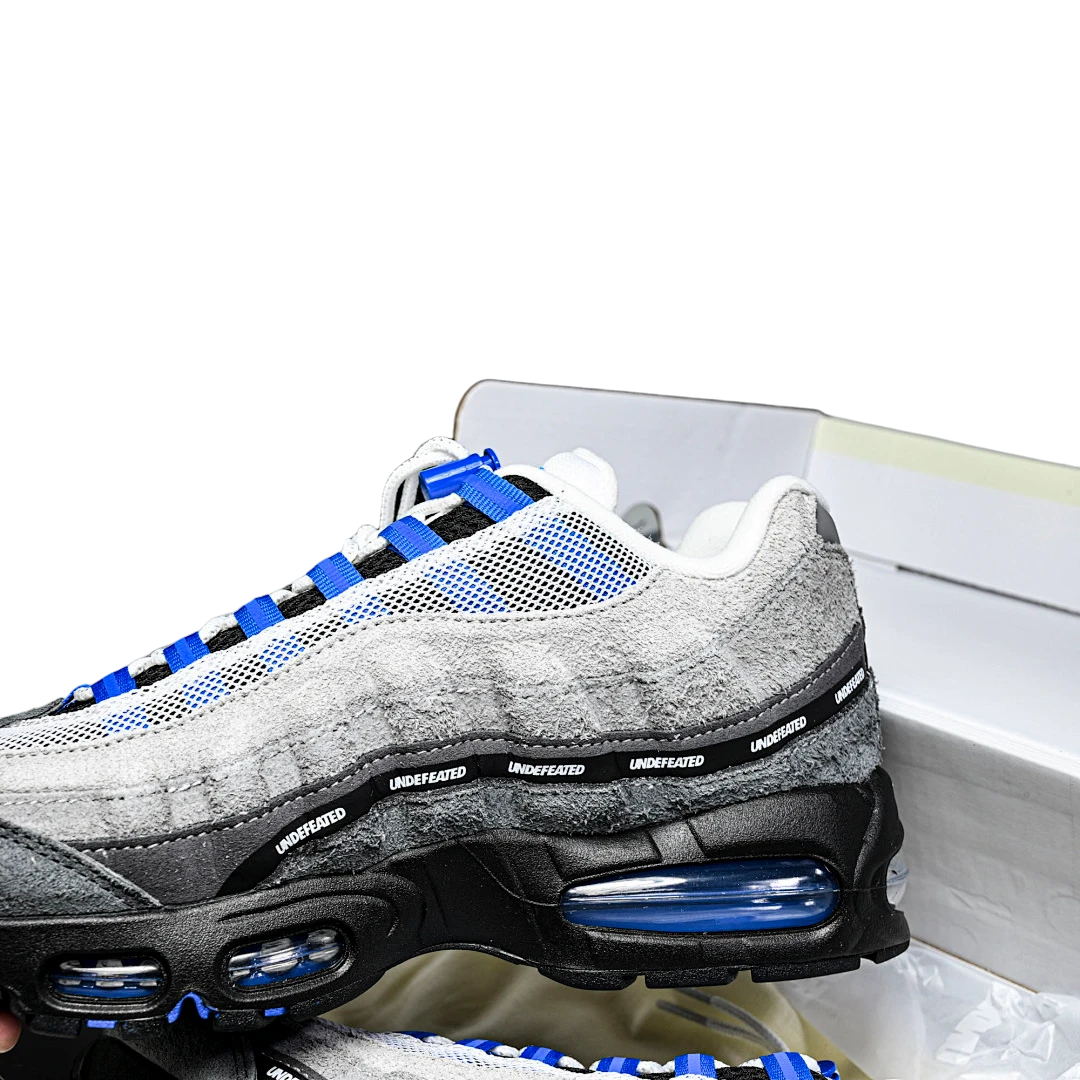 AM95 SP x Undefeated Geo 'Birmingham Concord'