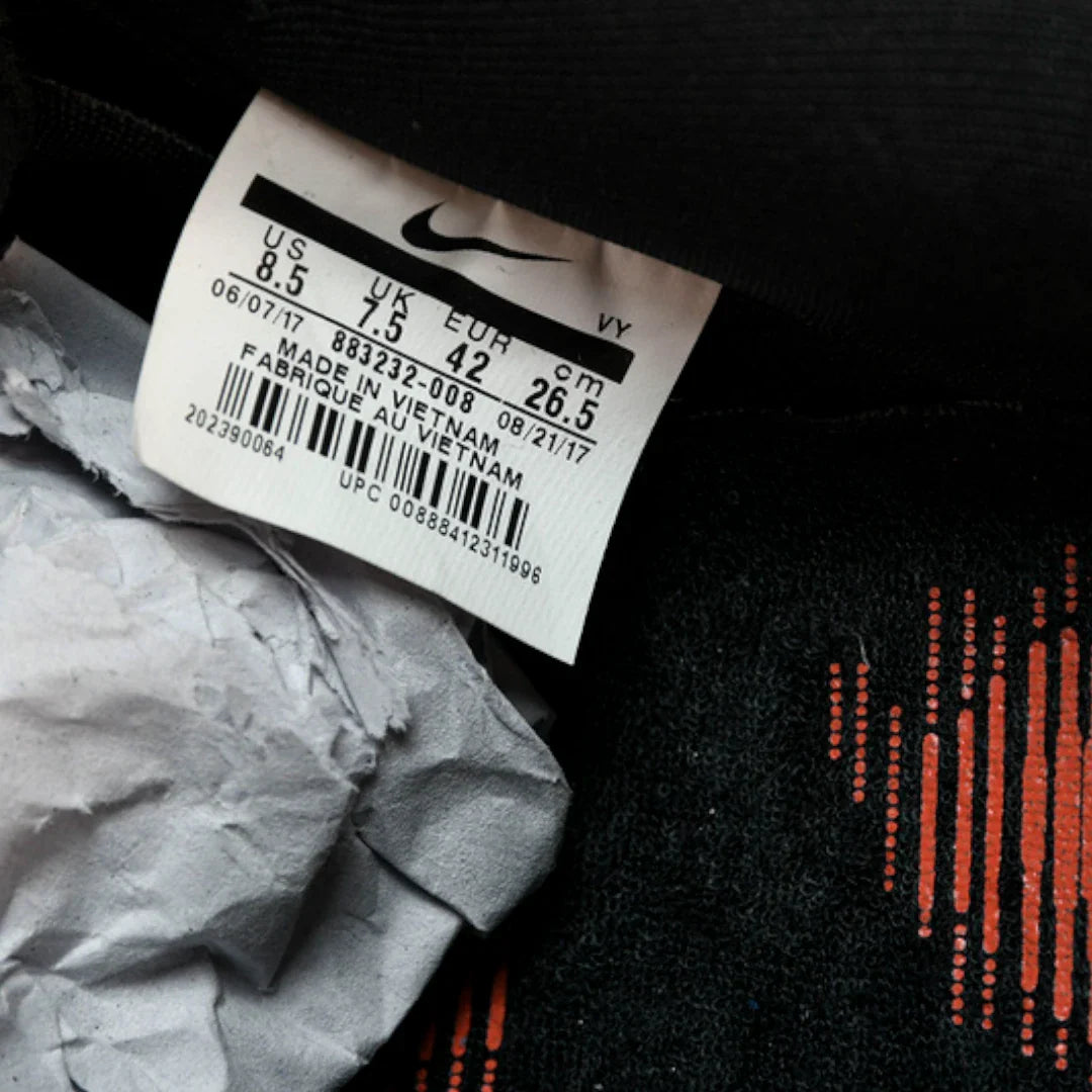 (CLEARANCE) Jeff Staple x SB Dnk Low 'Black Pigeon'